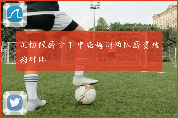 足协限薪令下申花梅州两队薪资结构对比