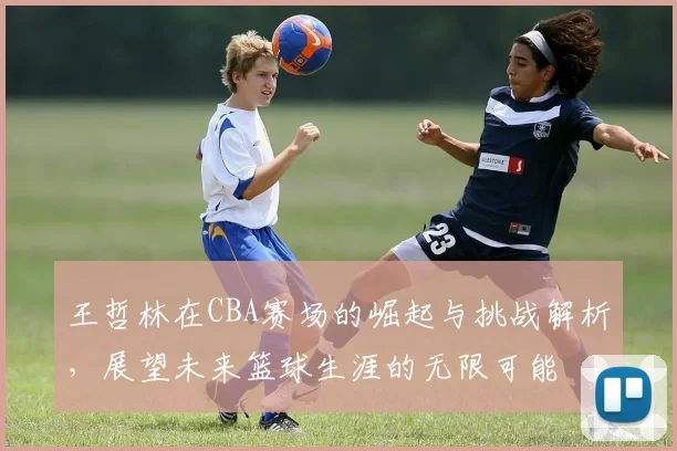 王哲林在CBA赛场的崛起与挑战解析，展望未来篮球生涯的无限可能